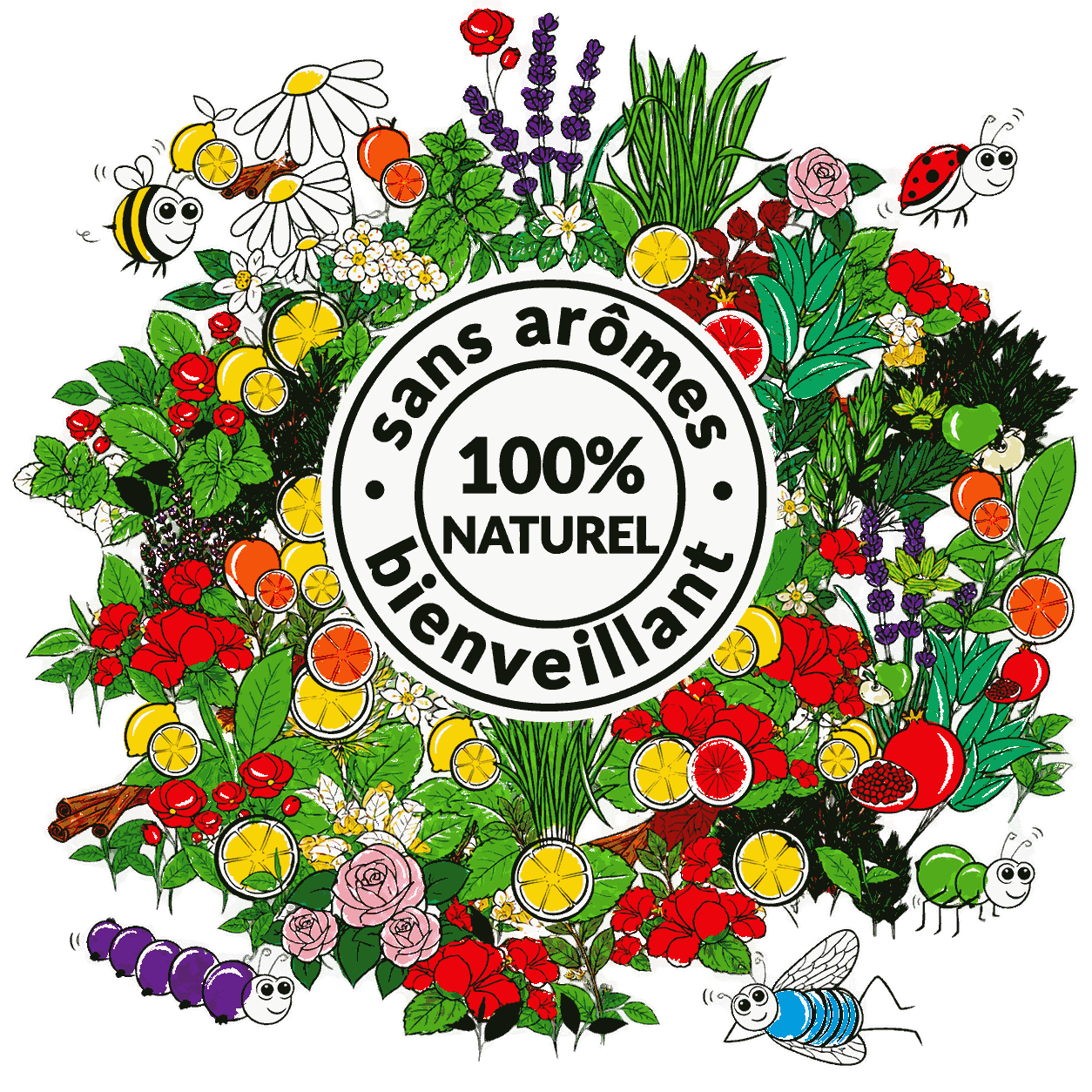 Infusions et tisanes bio sans arômes !